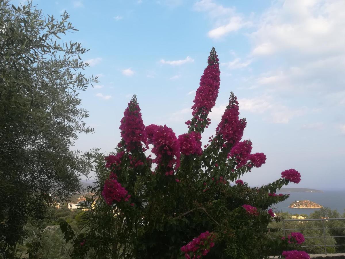 Πέτρα, Ελιά Και Λεβάντα Villa Tolo Bagian luar foto