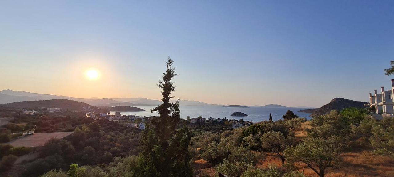 Πέτρα, Ελιά Και Λεβάντα Villa Tolo Bagian luar foto