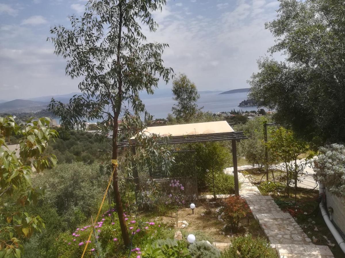 Πέτρα, Ελιά Και Λεβάντα Villa Tolo Bagian luar foto