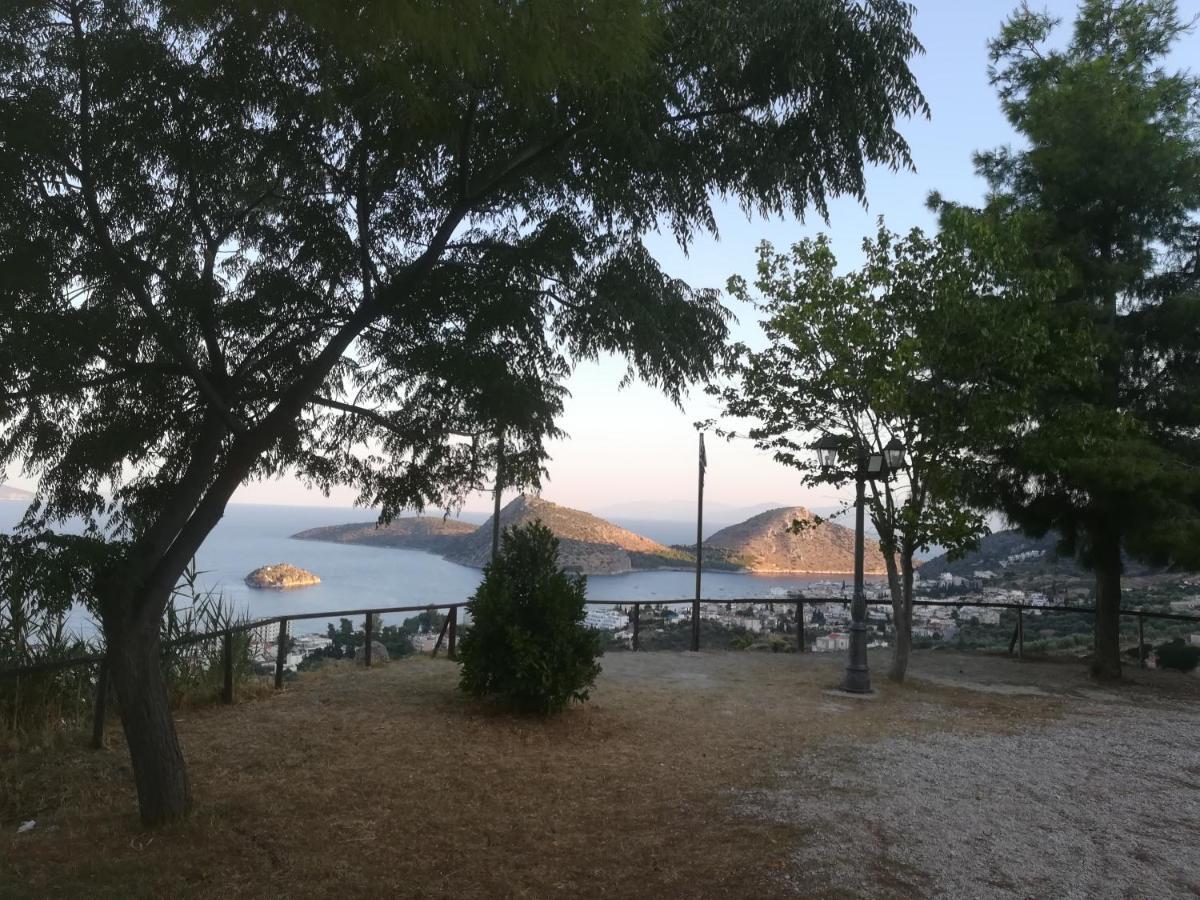 Πέτρα, Ελιά Και Λεβάντα Villa Tolo Bagian luar foto
