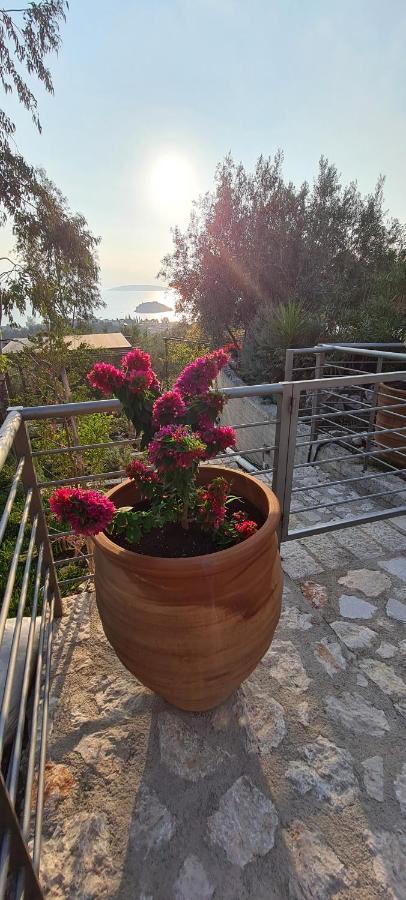 Πέτρα, Ελιά Και Λεβάντα Villa Tolo Bagian luar foto