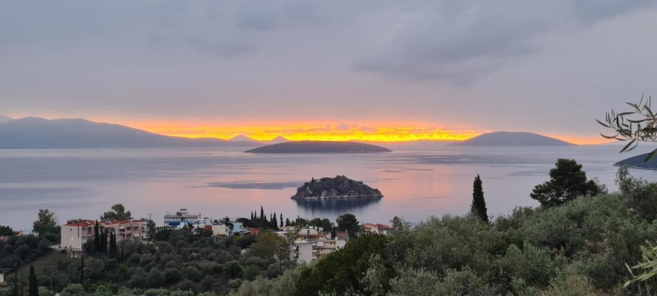 Πέτρα, Ελιά Και Λεβάντα Villa Tolo Bagian luar foto