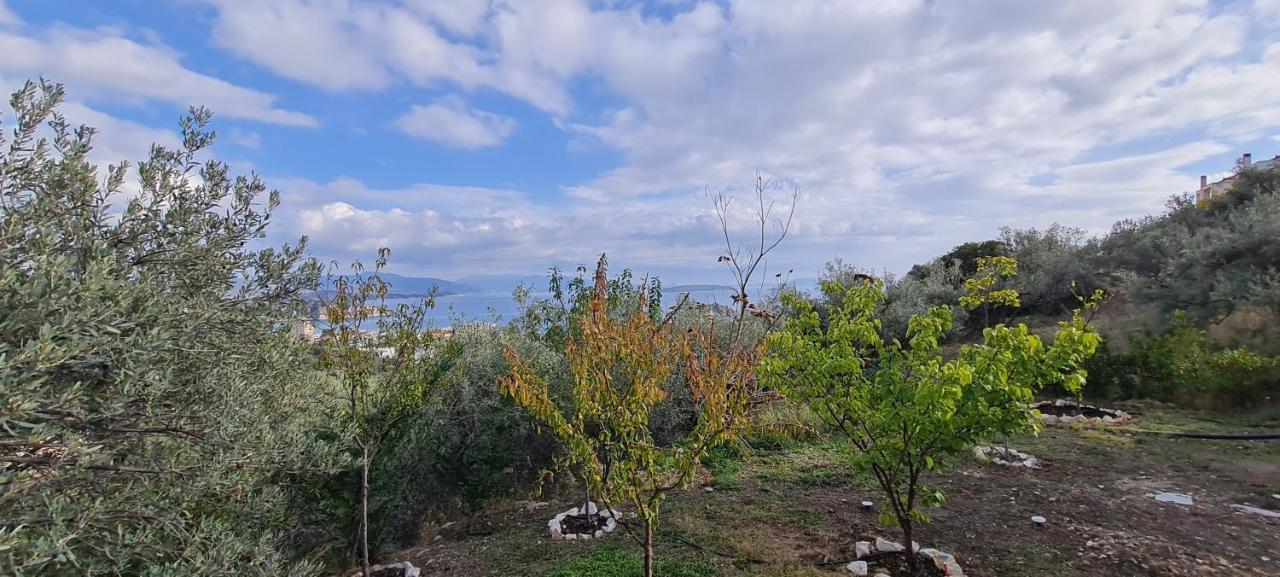 Πέτρα, Ελιά Και Λεβάντα Villa Tolo Bagian luar foto